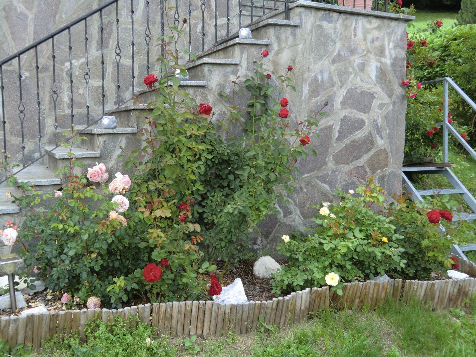 Alpenblick Bed & Breakfast Випитено Экстерьер фото